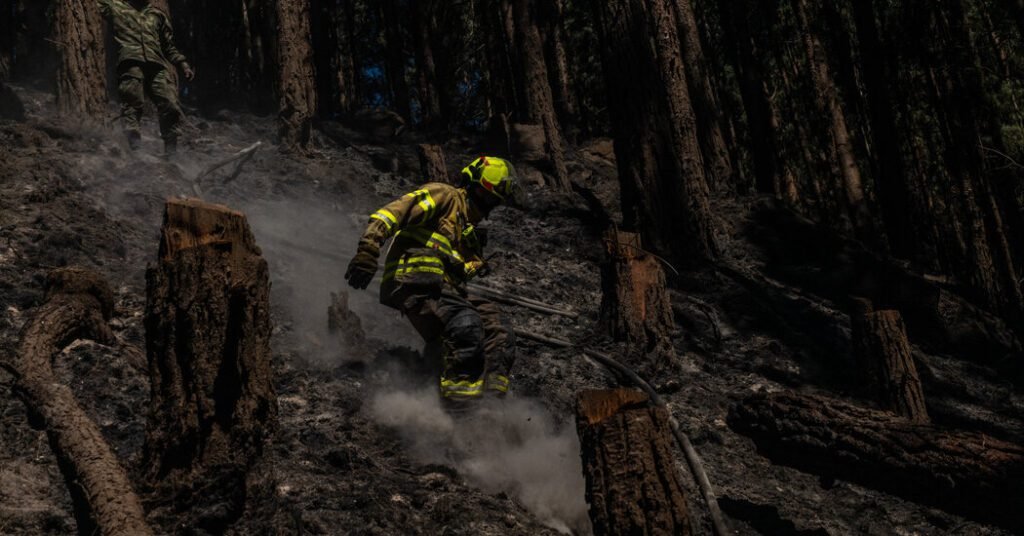 Colombia, Normally A Wet Country, Is Battling Widespread Wildfires