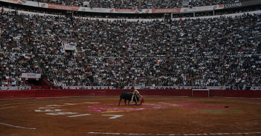 Bullfighting Returns To Mexico City. A Fight For His Future