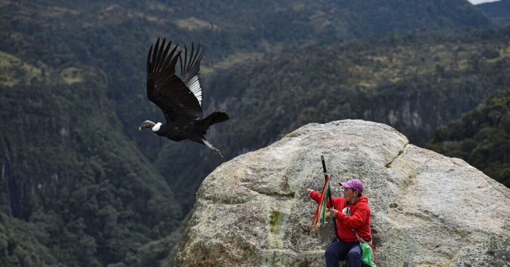 These Birds Are National Symbols But Are Becoming Harder To