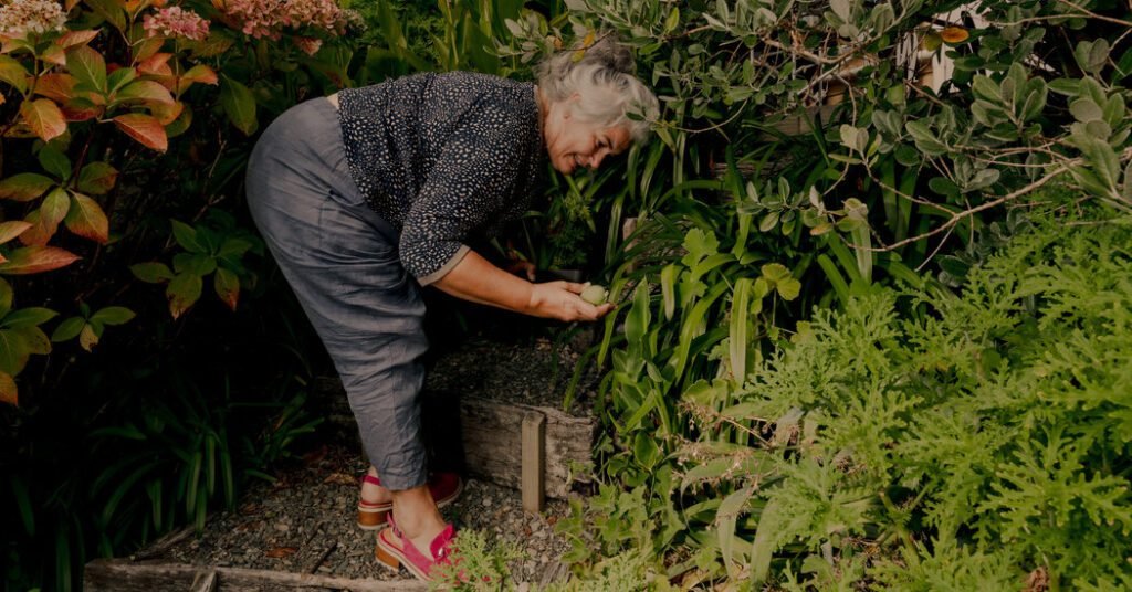 New Zealanders Are Crazy About This Fruit. It's Not The